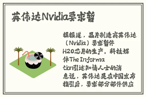 **免视频100集2019