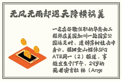 我的义姐不是个好妈妈动画片